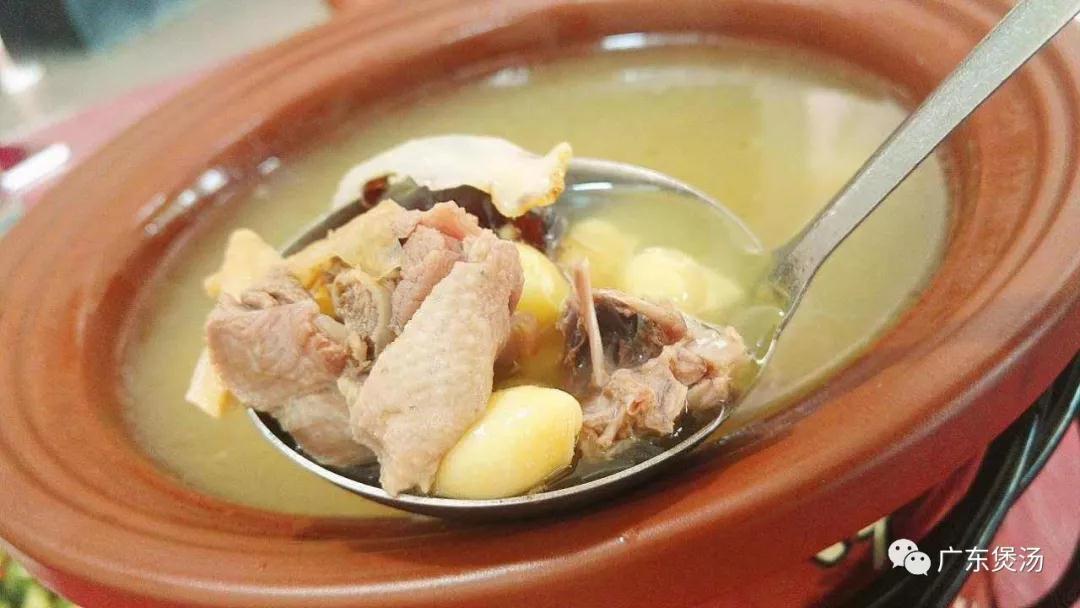 五指毛桃山杏老鸭汤的做法 - 老鸭汤 - 广东煲汤网