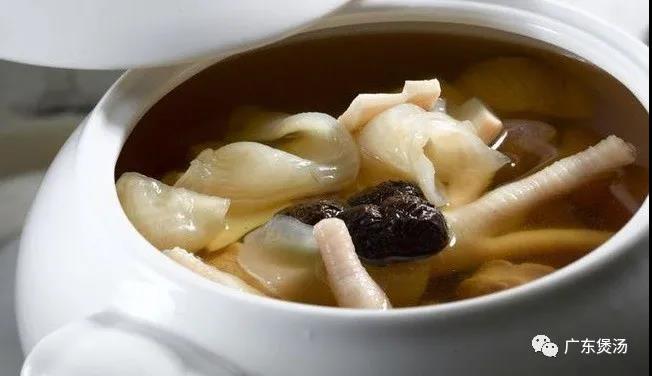 花胶鸡脚汤的做法 广东煲汤网